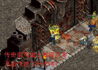 ��������ʿ��δ��㿪ʼ���ٷ�������
