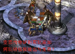 ��̬����SF�̿���������ת������������棿