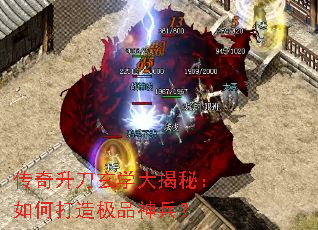 ����������ѧ����أ���δ��켫Ʒ�����