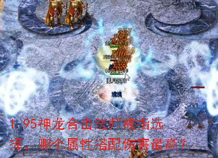 1.95�����ϻ���ʦ��ָѡ���ĸ����Դ����˺���ߣ�