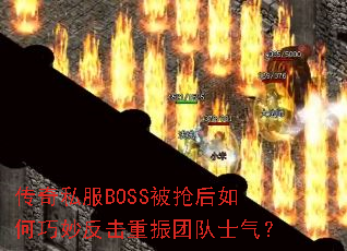 ����˽��BOSS�������������������Ŷ�ʿ����