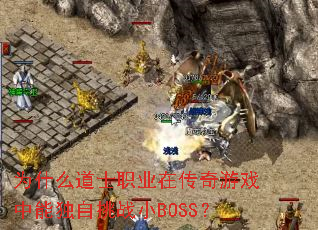 Ϊʲô��ʿְҵ�ڴ�����Ϸ���ܶ�����սСBOSS��