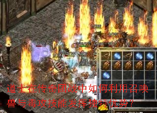 ��ʿ�ڴ�����ս����������ٻ����붾�����ܷ��Ӷ������ƣ�