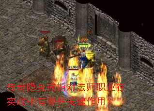 ����������ָ�Է�ʦְҵ��ʵս������Щ�ؼ����ã�
