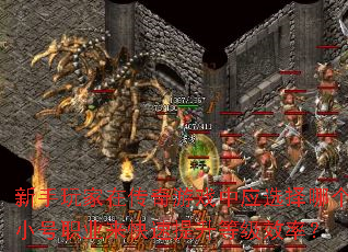 ��������ڴ�����Ϸ��Ӧѡ���ĸ�С��ְҵ�����������ȼ�Ч�ʣ�