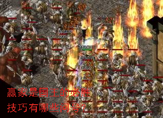 Ӯ���ǹ����ı�ʤ��������Щ�ʺţ�