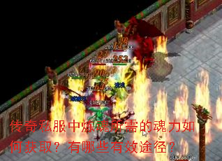 ����˽������������Ļ�����λ�ȡ������Щ��Ч;����