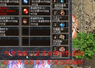 ���涾��ɽ���ʺ���Щ�����ս���ȼ�װ����ְҵѡ�����