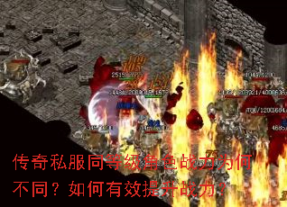 ����˽��ͬ�ȼ���ɫս��Ϊ�β�ͬ�������Ч����ս����