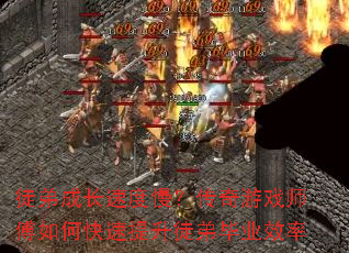 ͽ�ܳɳ��ٶ�����������Ϸʦ����ο�������ͽ�ܱ�ҵЧ��