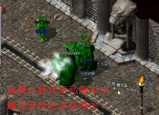 ������´���˽���п���������ɫѵ��Ч�ʣ�