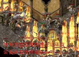 ������Ϸ��ο��ٻ�ȡϡ��װ���������ռ�Boss��
