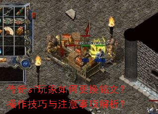 ����sf�����θ������ģ�����������ע�����������