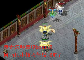 ���淨ʦ��ˢboss�������С��������ȡʤ��