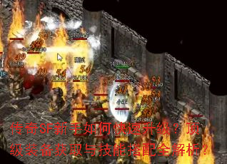����SF������ο�������������װ����ȡ�뼼�ܴ���ȫ������