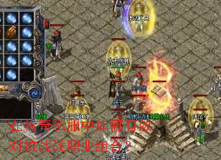 �ڴ���˽���������Ч�Կ�սսְҵ��ϣ�