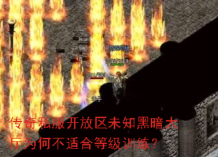 ����˽��������δ֪�ڰ�����Ϊ�β��ʺϵȼ�ѵ����