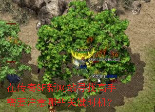 �ڴ���SF����վѰ�Ҹ�����Ҫע����Щ�ؼ�ʱ����