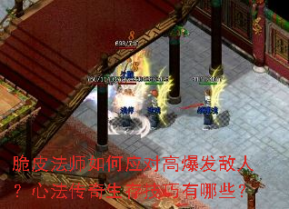 ��Ƥ��ʦ���Ӧ�Ը߱������ˣ��ķ��������漼������Щ��