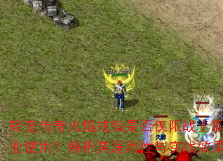 ��䴫������ָ�Ƿ����սʿְҵʹ�ã���������������ʵսЧ��