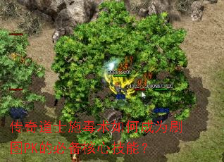 �����ʿʩ������γ�ΪˢͼPK�ıر����ļ��ܣ�