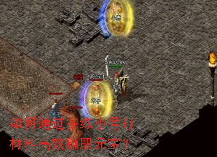 ���ͨ������С�Ŵ���ϸ�Ч׬ȡԪ����