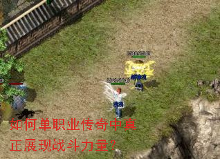 ��ε�ְҵ����������չ��ս��������
