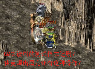 GMʧ��ˢ�Ĳ��Թ�����ɾ���Ҿ����������������ֲ�����