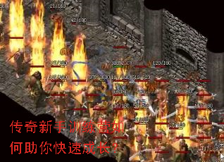 ��������ѵ��Ӫ���������ٳɳ���