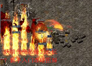 ��������˽����ô�棿�������Ź���ͼ��