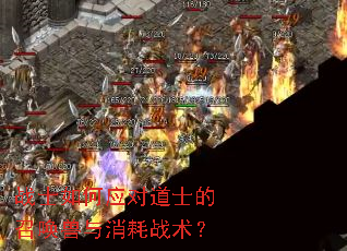 սʿ���Ӧ�Ե�ʿ���ٻ���������ս����