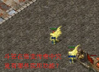 ������΢�䴫���о�������Щʵ�ù��ܣ�