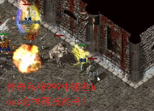 ����˽��999����Щboss����似���飿