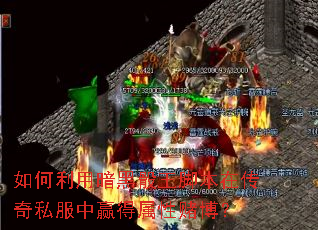 ������ð��������ű��ڴ���˽����Ӯ�����ԶĲ���