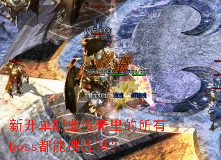 �¿���ְҵ�����������boss������ս��