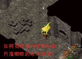 �����ЧӦ�Դ���˽����ħ֩��ı���������