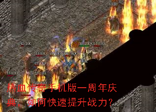 ��Ѫ�����ֻ���һ������䣬��ο�������ս����