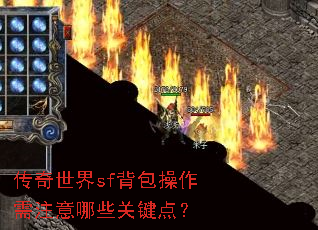 ��������sf����������ע����Щ�ؼ��㣿