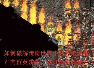 ����ƽ⴫�������е�������⣿��ȺӢ��̣��ҿ��ռ�����