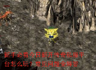 ���ֱؿ������¿�����˽��ƽ̨��ô�棿��������ȫ���