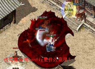 ���������config��ʲô��˼��
