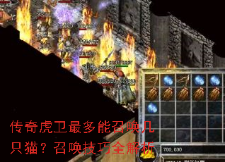 ���滢��������ٻ���ֻè���ٻ�����ȫ����