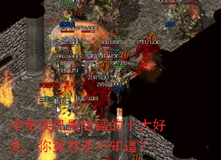 ���漲������ص�ʮ��ô����㾹Ȼ����֪����