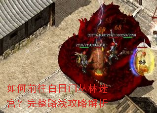 ���ǰ�������Ŵ����Թ�������·�߹��Խ���