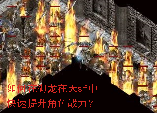 �������������sf�п���������ɫս����