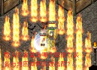 ɢ�˴����ѡ�ĸ�ְҵ��װ�����ͼ��θ�Ч���䣿