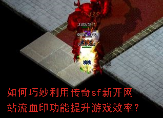 ����������ô���sf�¿���վ��Ѫӡ����������ϷЧ�ʣ�