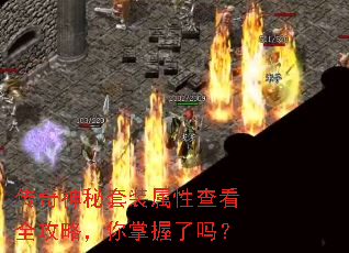 ����������װ���Բ鿴ȫ���ԣ�����������