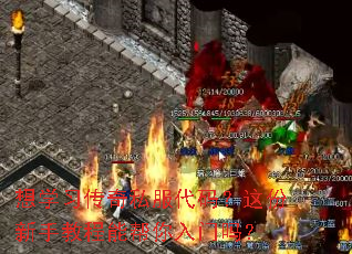 ��ѧϰ����˽�����룿������ֽ̳��ܰ���������