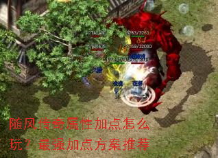 ��紫�����Լӵ���ô�棿��ǿ�ӵ㷽���Ƽ�